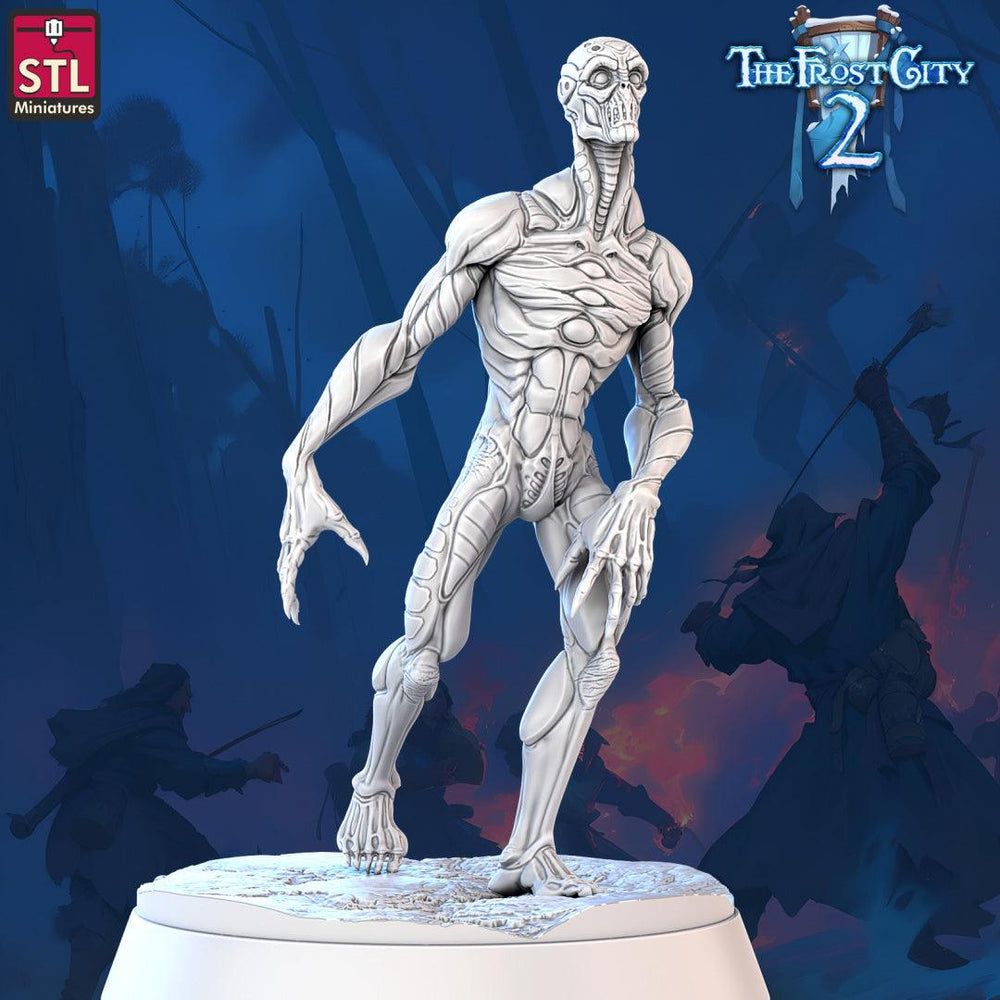 3D Printed STL Miniatures Nullmens The Frost City 2 28 - 32mm War Gaming D&D (Online Only)