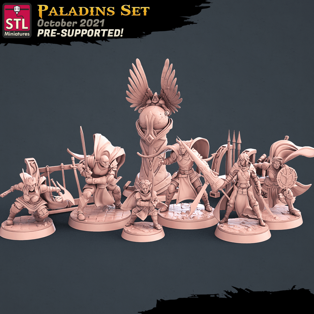 3D Printed STL Miniatures Paladin Set 28 - 32mm War Gaming D&D (Online Only)