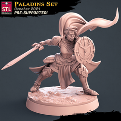 3D Printed STL Miniatures Paladin Set 28 - 32mm War Gaming D&D (Online Only)