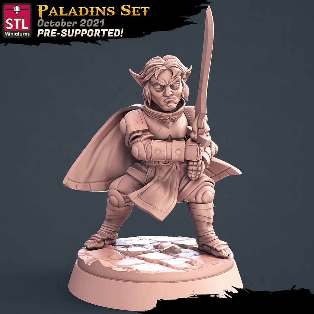 3D Printed STL Miniatures Paladin Set 28 - 32mm War Gaming D&D (Online Only)