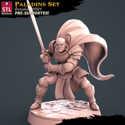 3D Printed STL Miniatures Paladin Set 28 - 32mm War Gaming D&D (Online Only)