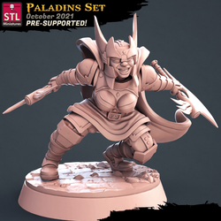 3D Printed STL Miniatures Paladin Set 28 - 32mm War Gaming D&D (Online Only)