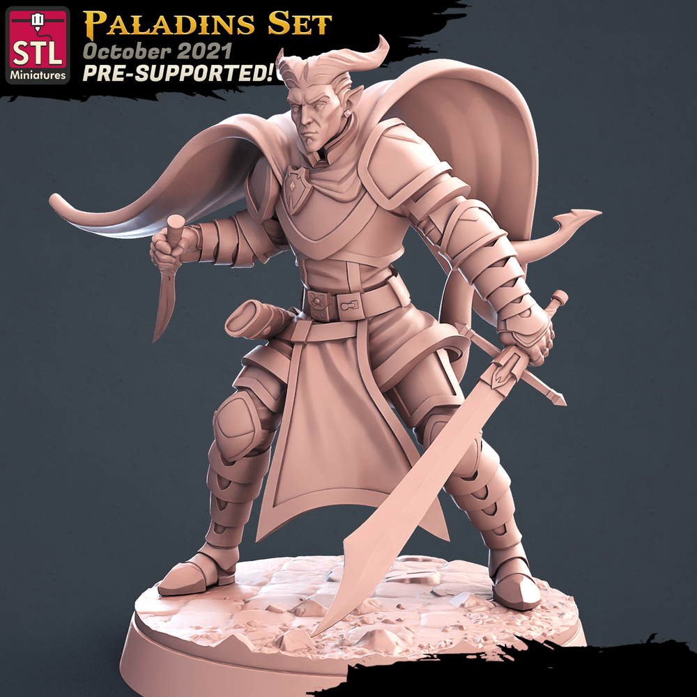 3D Printed STL Miniatures Paladin Set 28 - 32mm War Gaming D&D (Online Only)