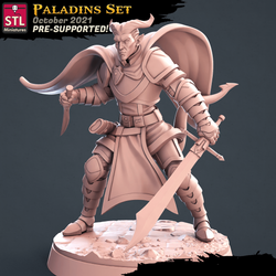 3D Printed STL Miniatures Paladin Set 28 - 32mm War Gaming D&D (Online Only)