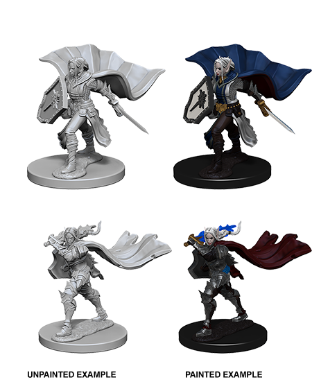 Pathfinder: Deep Cuts - Elf Female Paladin (ONLINE ORDER ONLY)