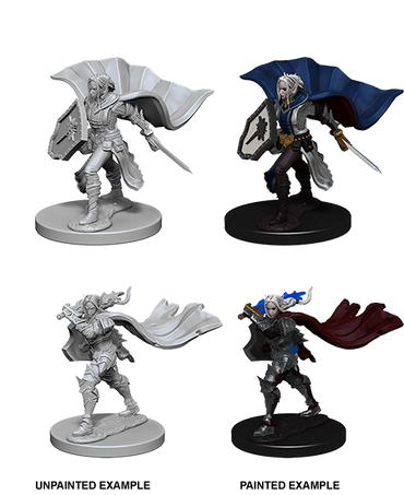 Pathfinder: Deep Cuts - Elf Female Paladin (ONLINE ORDER ONLY)