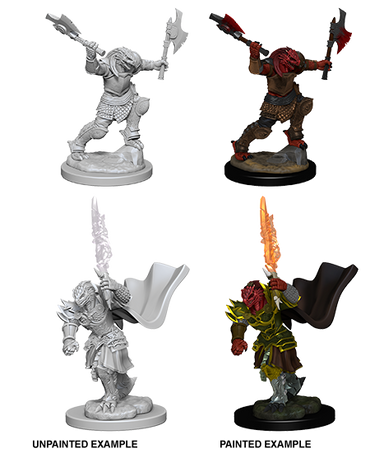 D&D: Nolzur's Marvelous Miniatures - Dragonborn Female Fighter (ONLINE ORDER ONLY)