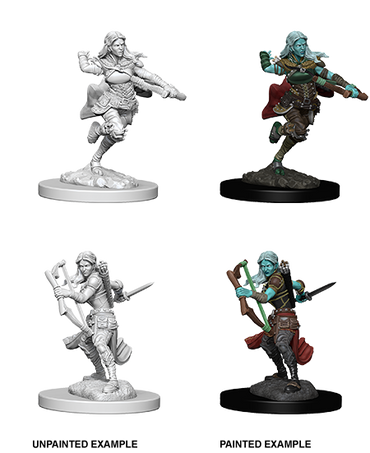 D&D: Nolzur's Marvelous Miniatures - Air Gensai Female Rogue (ONLINE ORDER ONLY)