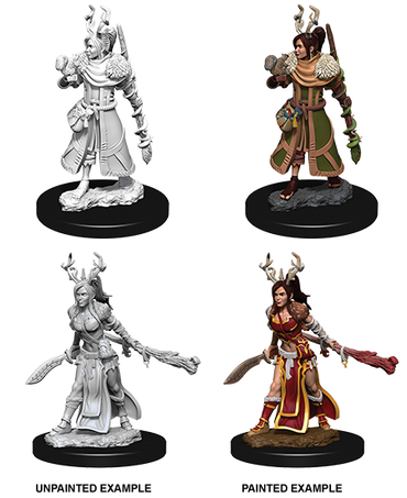 D&D: Nolzur's Marvelous Miniatures - Human Female Druid (ONLINE ORDER ONLY)