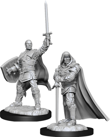 D&D: Nolzur's Marvelous Miniatures - Human Paladin Male (ONLINE ORDER ONLY)