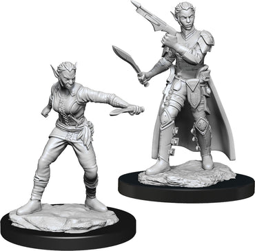 D&D: Nolzur's Marvelous Miniatures - Shifter Rogue Female (ONLINE ORDER ONLY)