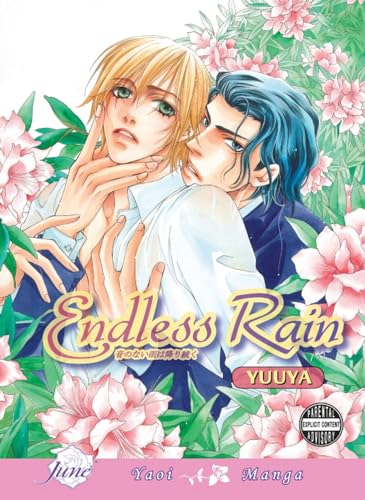 Endless Rain (ONLINE ORDER ONLY)