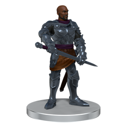 D&D: Icons of the Realms - Voices of the Realms: Band of Heroes (ONLINE ORDER ONLY)