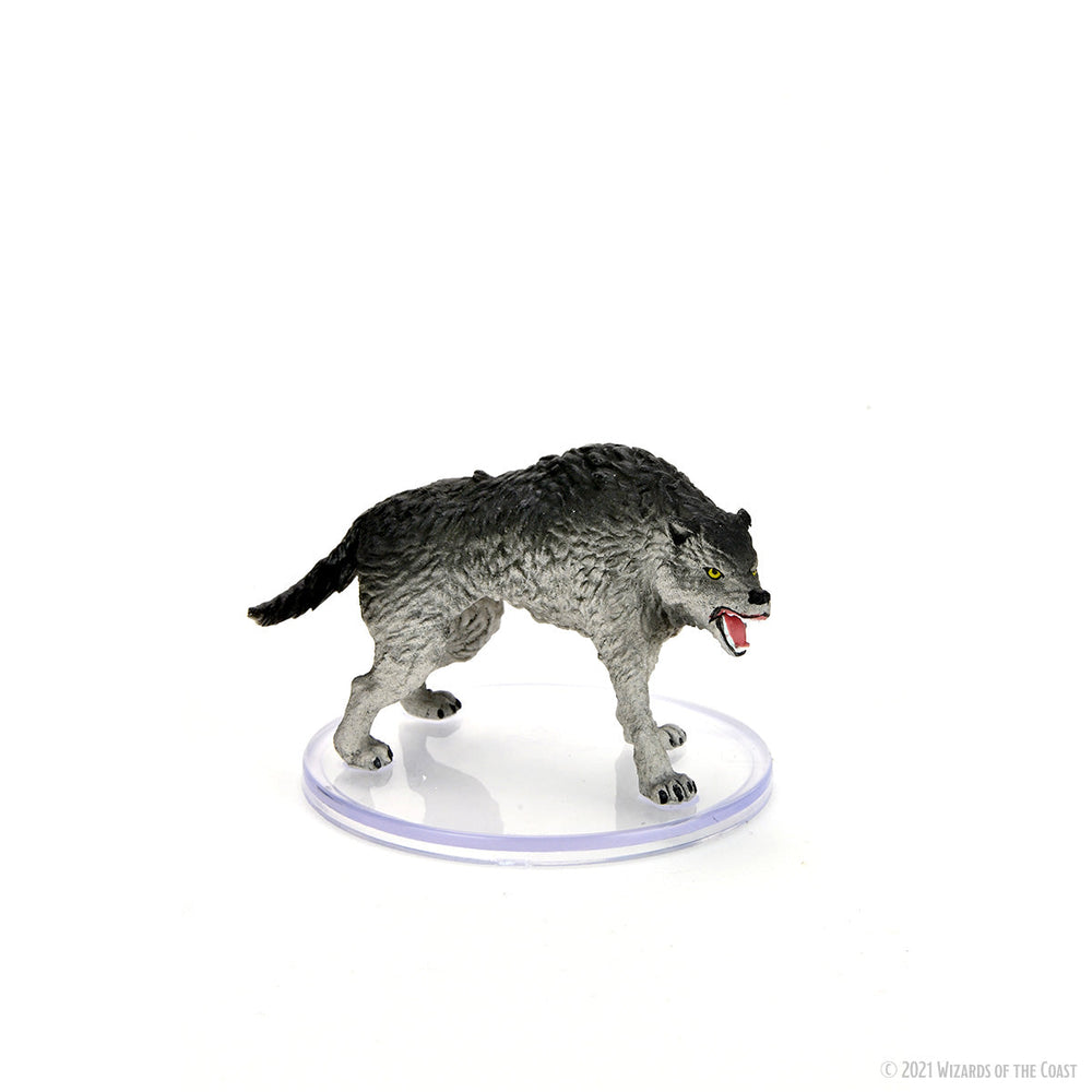 D&D: Icons of the Realms - Wild Shape & Polymorph (Set 2) (ONLINE ORDER ONLY)