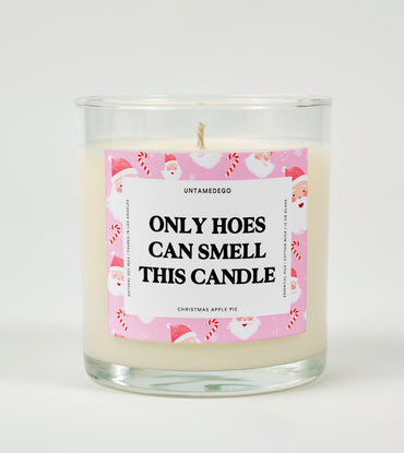 Only Hoes Can Smell This Candle | Funny Candle (ONLINE ORDER ONLY)