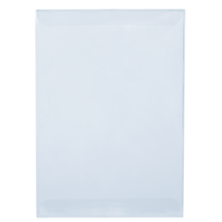 DVD PopShield Protector (ONLINE ORDER ONLY)