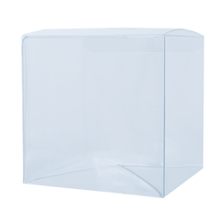 An Afternoon with Eevee PopShield Protector (ONLINE ORDER ONLY)