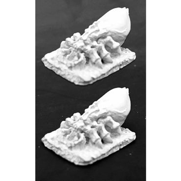 RPR03772 Giant Ticks Set of 2 Miniatures 25mm Heroic Scale Dark Heaven (ONLINE ORDER ONLY)