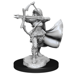 D&D: Nolzur's Marvelous Miniatures - Air Genasi Female (ONLINE ORDER ONLY)