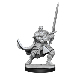 D&D: Nolzur's Marvelous Miniatures - Half-Orc Paladin Male (ONLINE ORDER ONLY)
