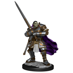 D&D: Nolzur's Marvelous Miniatures - Half-Orc Paladin Male (ONLINE ORDER ONLY)