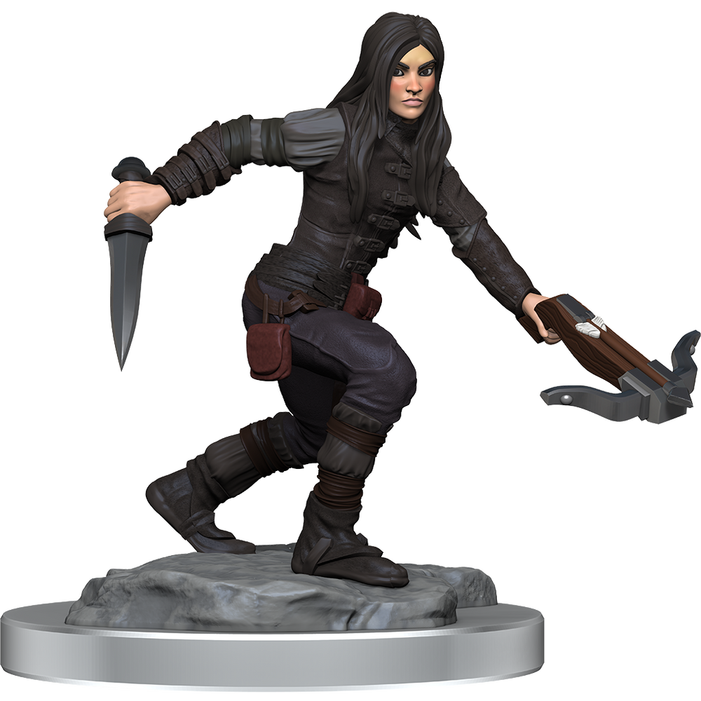 D&D: Nolzur's Marvelous Miniatures - Half-Elf Rogue Female (ONLINE ORDER ONLY)