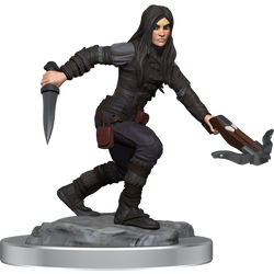 D&D: Nolzur's Marvelous Miniatures - Half-Elf Rogue Female (ONLINE ORDER ONLY)