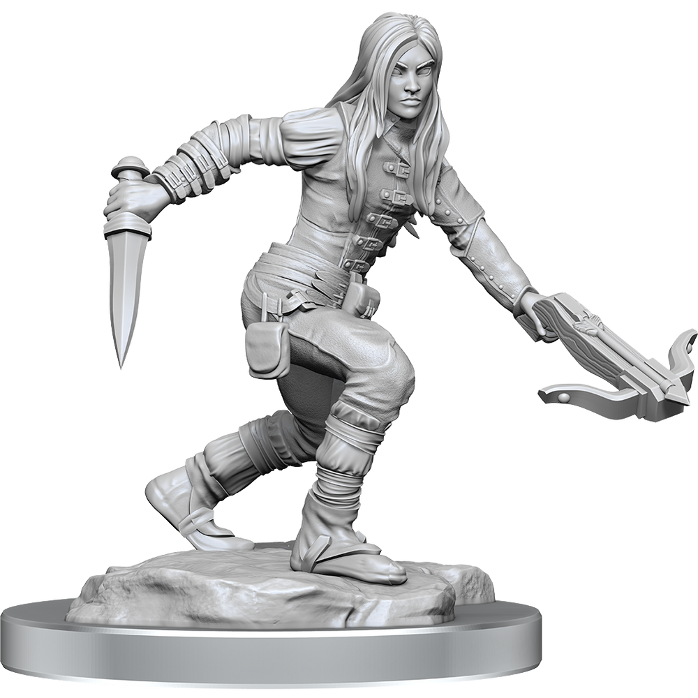 D&D: Nolzur's Marvelous Miniatures - Half-Elf Rogue Female (ONLINE ORDER ONLY)