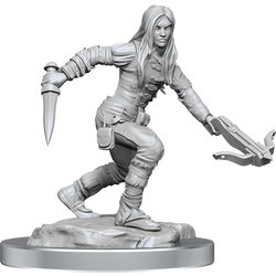 D&D: Nolzur's Marvelous Miniatures - Half-Elf Rogue Female (ONLINE ORDER ONLY)