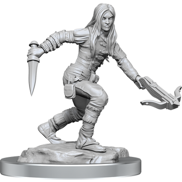 D&D: Nolzur's Marvelous Miniatures - Half-Elf Rogue Female (ONLINE ORDER ONLY)