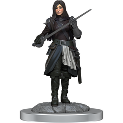 D&D: Nolzur's Marvelous Miniatures - Half-Elf Rogue Female (ONLINE ORDER ONLY)