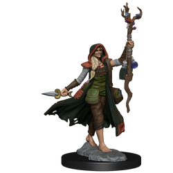 D&D: Frameworks - Human Druid Female (ONLINE ORDER ONLY)