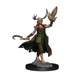 D&D: Frameworks - Human Druid Female (ONLINE ORDER ONLY)