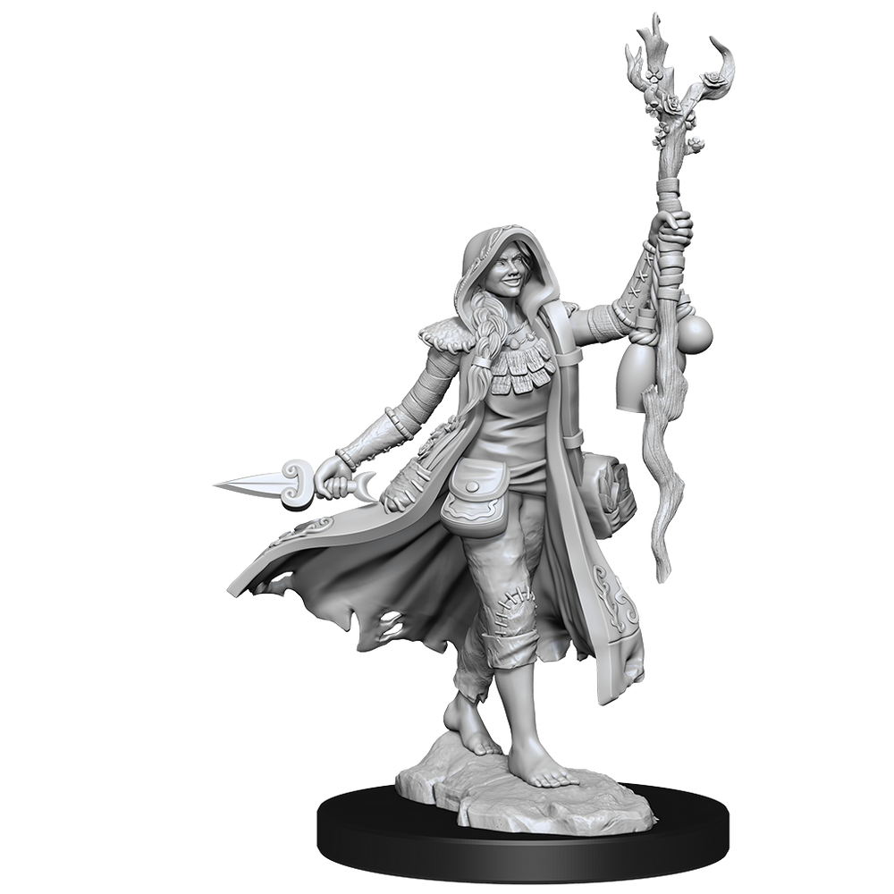 D&D: Frameworks - Human Druid Female (ONLINE ORDER ONLY)