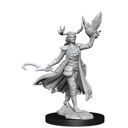 D&D: Frameworks - Human Druid Female (ONLINE ORDER ONLY)