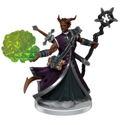 D&D: Frameworks - Tiefling Warlock Male (ONLINE ORDER ONLY)
