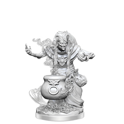 D&D: Frameworks - Night Hag (ONLINE ORDER ONLY)
