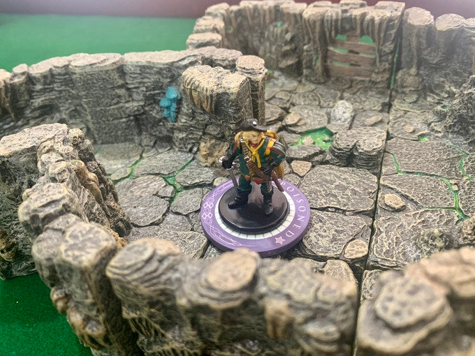 Dungeon Bones: D&D Condition Chips (ONLINE ORDER ONLY)
