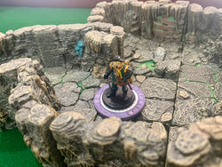 Dungeon Bones: D&D Condition Chips (ONLINE ORDER ONLY)