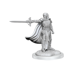 D&D: Nolzur's Marvelous Miniatures - Death Knights (ONLINE ORDER ONLY)