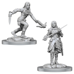D&D: Nolzur's Marvelous Miniatures - Half-Elf Rogue Female (ONLINE ORDER ONLY)