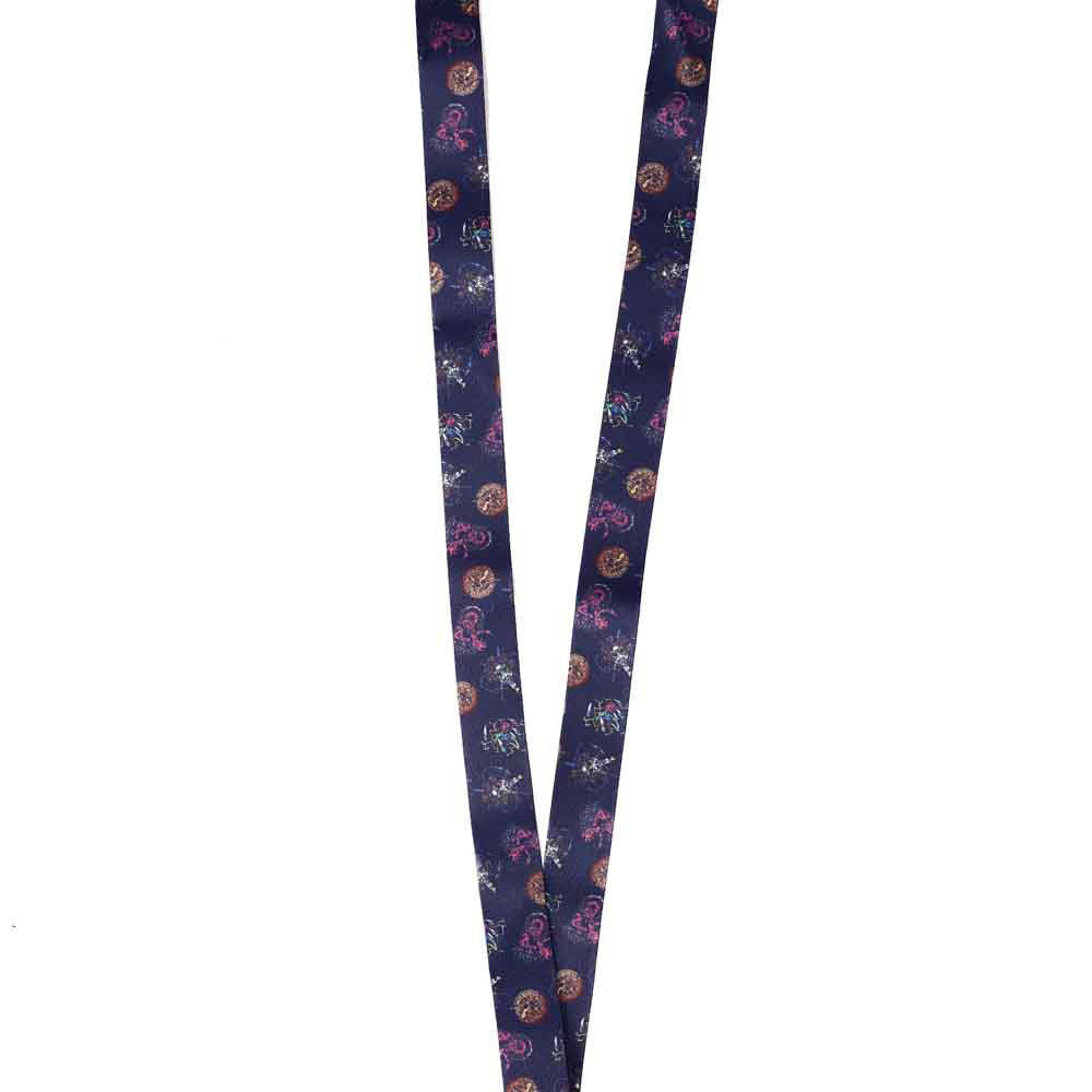 Dungeons & Dragons Lapel Pins & Lanyard Dice Box Set (ONLINE ORDER ONLY)