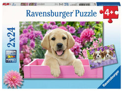 Puzzle: Me and My Pal (ONLINE ORDER ONLY)