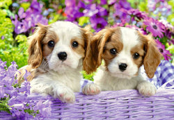 Puzzle: Me and My Pal (ONLINE ORDER ONLY)