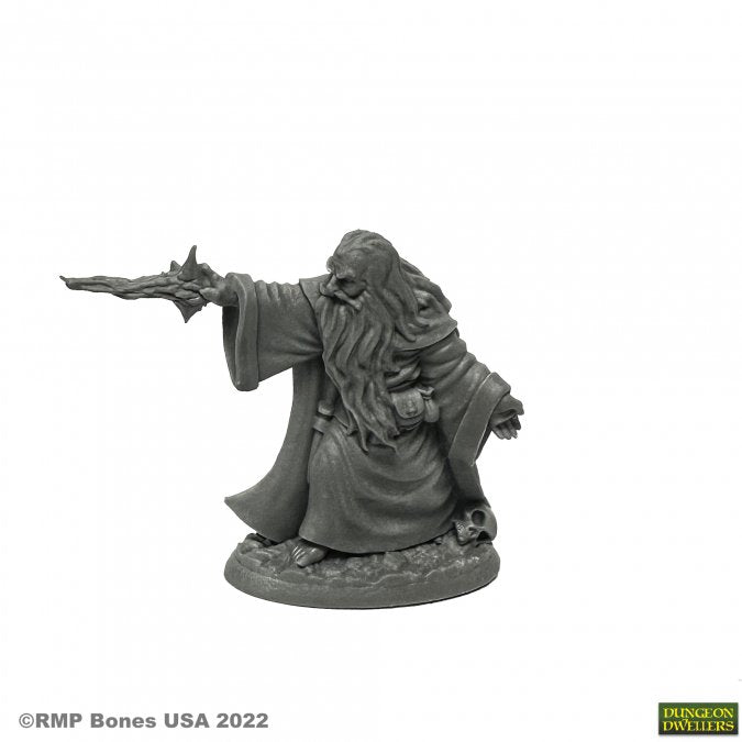Reaper Legends: Erebus Nalas - Evil Scorcerer (ONLINE ORDER ONLY)