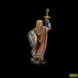 Dungeon Dwellers: Sir Danarel the Holy (ONLINE ORDER ONLY)