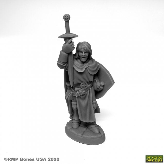 Dungeon Dwellers: Sir Danarel the Holy (ONLINE ORDER ONLY)