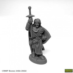 Dungeon Dwellers: Sir Danarel the Holy (ONLINE ORDER ONLY)