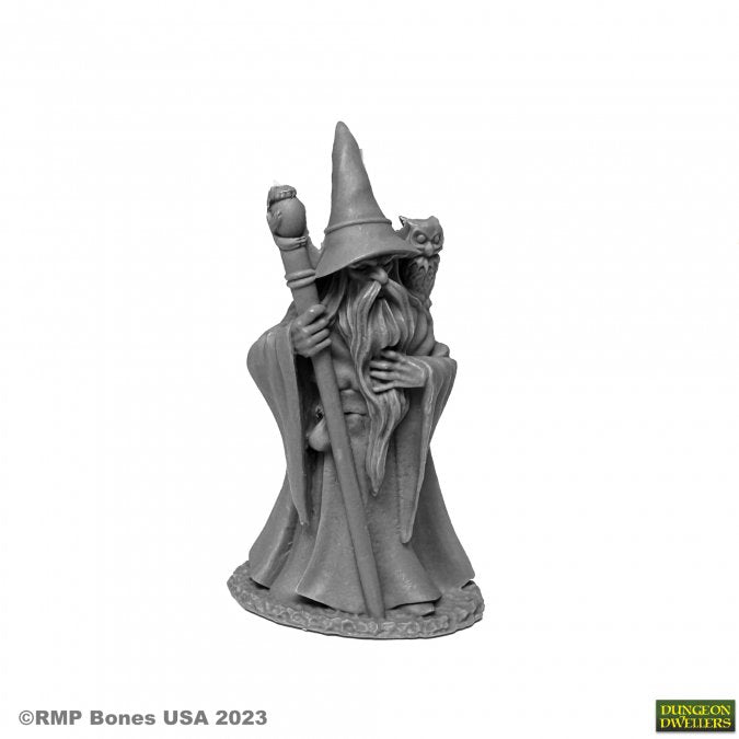 Dungeon Dwellers: Anuminar Winterbeard, Wizard (ONLINE ORDER ONLY)