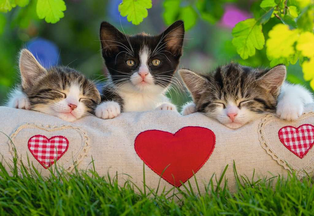 Puzzle: Sleepy Kittens (ONLINE ORDER ONLY)